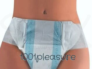 1001pleasure