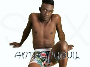 ANTHONYBUIL