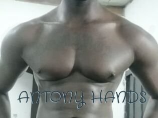 ANTONY_HANDS