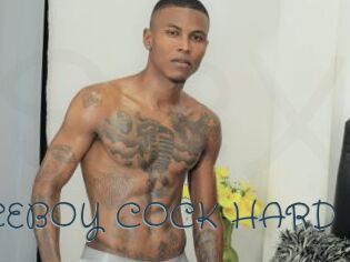 ARON_NICEBOY_COCK_HARD