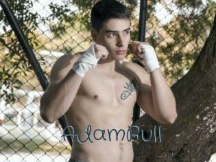 AdamBull