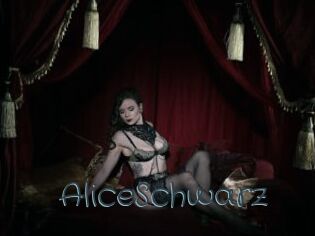 AliceSchwarz