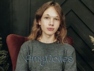 AmyNoiles