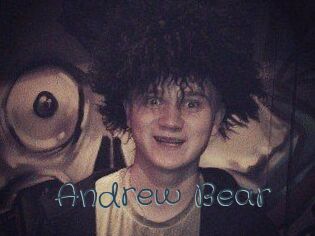 Andrew_Bear