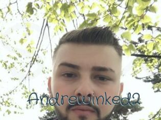 Andrewinked2