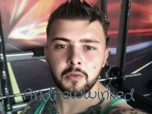 Andrewwinked