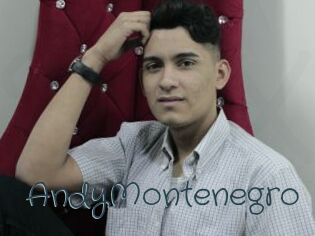 AndyMontenegro