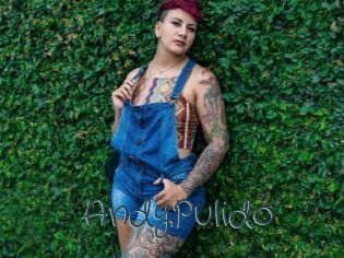 AndyPulido