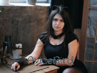 AviceBird