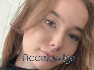 Accabodge
