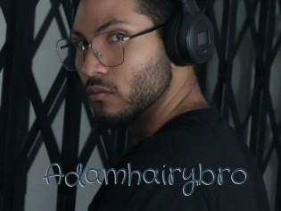 adamhairybro Sexcam Livesex