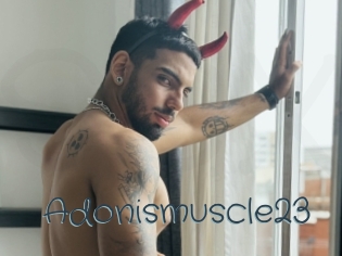 Adonismuscle23