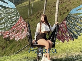 Aidara