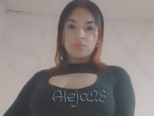 Aleja23