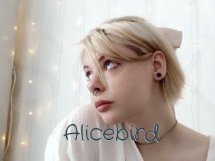 Alicebird