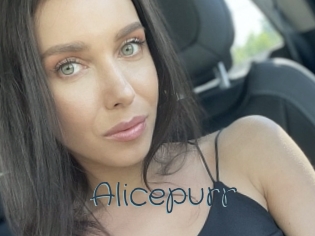 Alicepurr