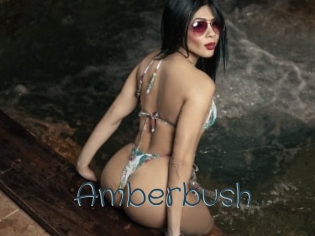 Amberbush