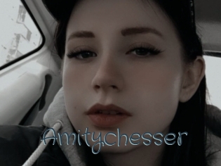 Amitychesser