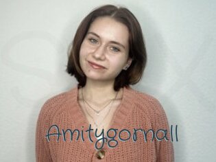 Amitygornall