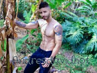Andresdavidhot