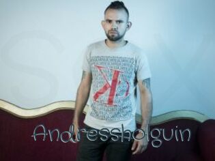 Andressholguin