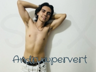 Andruwpervert