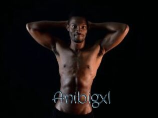 Anibigxl