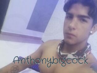 Anthonybigcock