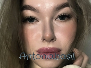 Antoniabasil