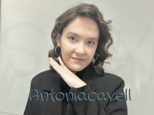 Antoniacavell