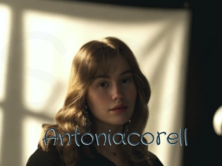 Antoniacorell