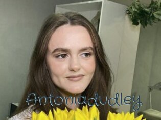 Antoniadudley