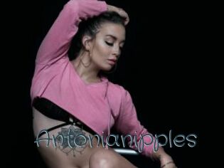 Antonianipples