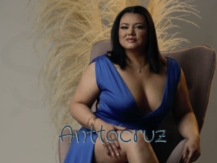 Anttocruz