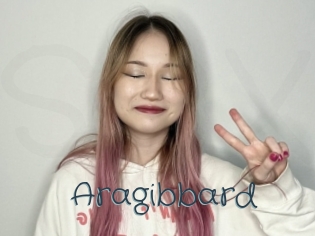 aragibbard Sexcam Livesex