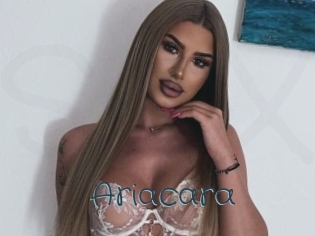 Ariacara