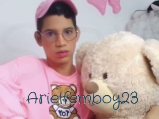 Arielfemboy23