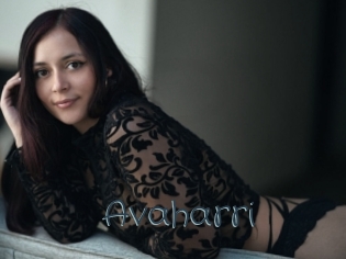 avaharri Sexcam Livesex