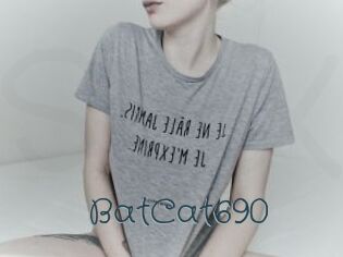 BatCat690