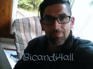 Bicandi4all