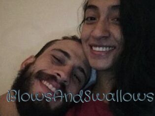BlowsAndSwallows