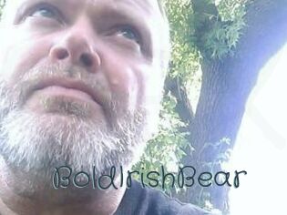 BoldIrishBear