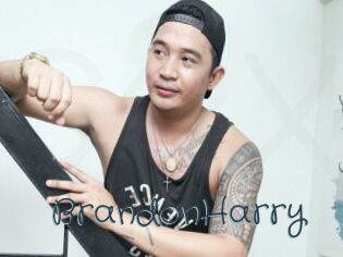 BrandonHarry Sexcam Livesex