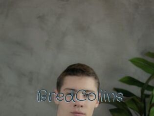 BredCollins Sexcam Livesex