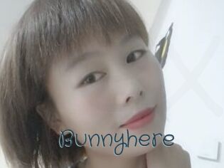Bunnyhere