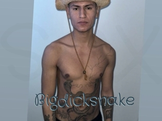 Bigdicksnake