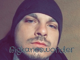 Bigkaneswonder