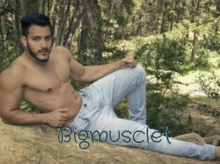 Bigmusclet