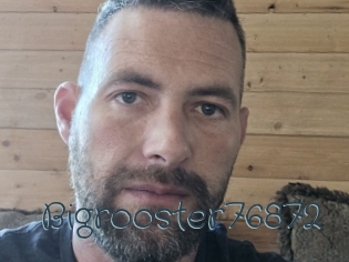 Bigrooster76872