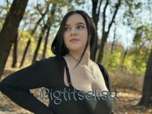 Bigtitselisa